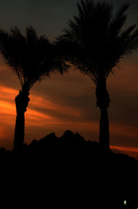 Silhouette palm trees against sky during sunset