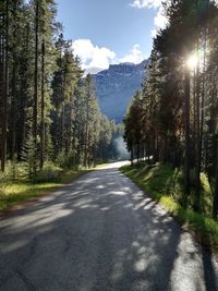 Road amidst trees in forest against sky