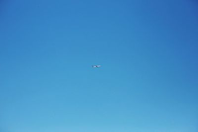 Low angle view of airplane flying in sky