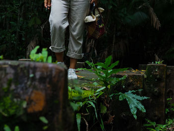 Low section of woman standing by plants