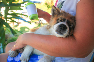 Midsection of woman with dog