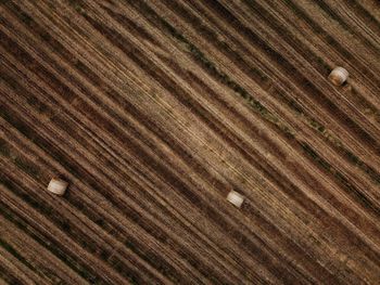 Full frame shot of agricultural field