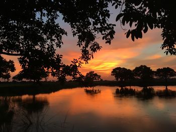 Silhouette trees by lake against sky during sunset