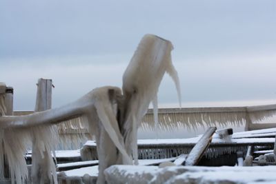 Horse in winter against sky