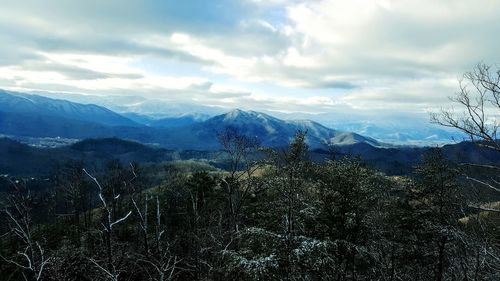 Trees growing on mountain against cloudy sky