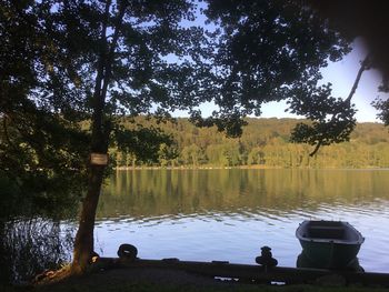 Scenic view of lake in forest against sky