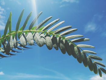 Low angle view of palm tree against blue sky