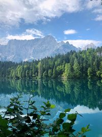 Scenic view of lake by trees against sky