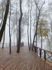 Scenic view of lake amidst trees