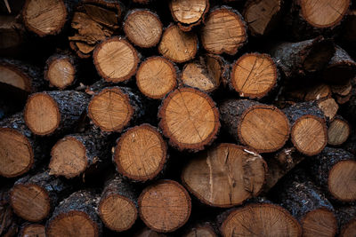 Full frame shot of logs