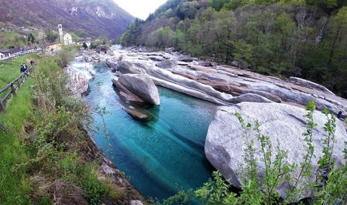 High angle view of river amidst trees in forest