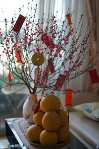 Close-up of fruits hanging on table