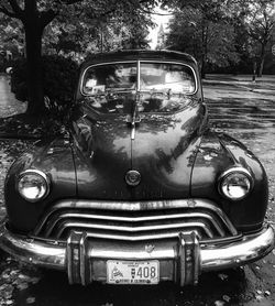 Close-up of car on tree