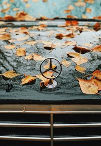 High angle view of dry leaves on water