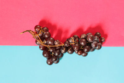 High angle view of grapes on table