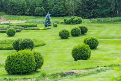 Scenic view of formal garden