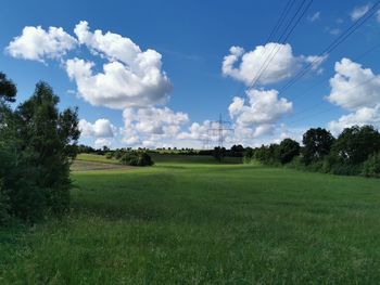 Scenic view of agricultural field against sky