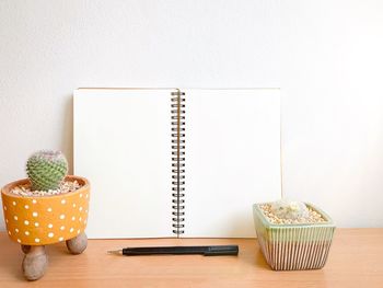 Potted plant on table against wall