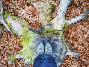 Low section of man standing on tree stump in forest