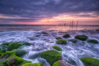 Mossy rocks ii ampenan beach lombok-indonesia
