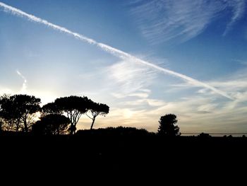 Low angle view of silhouette trees against sky