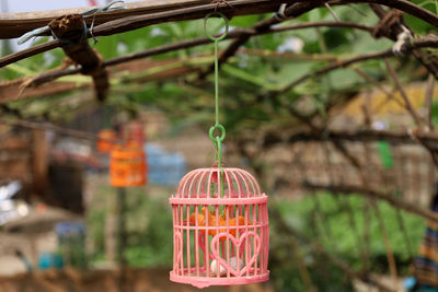 Close-up of metallic structure hanging in cage