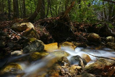 River flowing through rocks