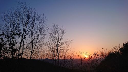 Silhouette bare tree against sky during sunset