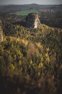 High angle view of trees on landscape