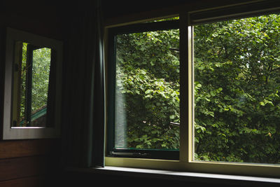 Plants seen through window in house