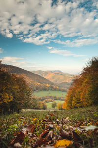 Red and orange warm sun illuminates the orange-red forest. mojtin, strazov mountains, slovakia