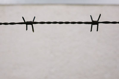 Low angle view of barbed wire against sky