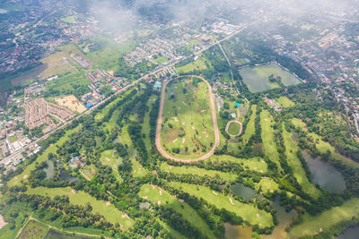 High angle view of plants growing on land