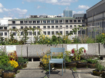 Potted plants on sidewalk against building