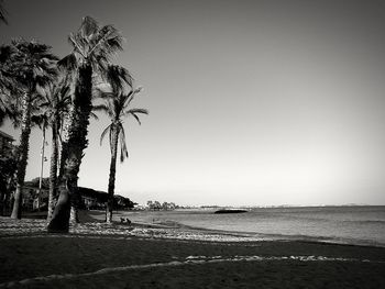 Palm trees on beach against clear sky