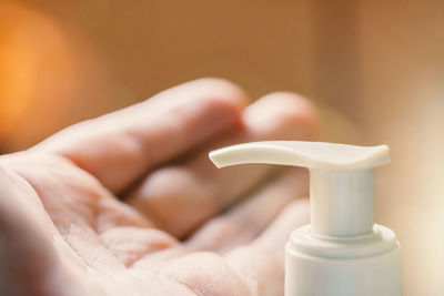 Close-up of hand holding white rose