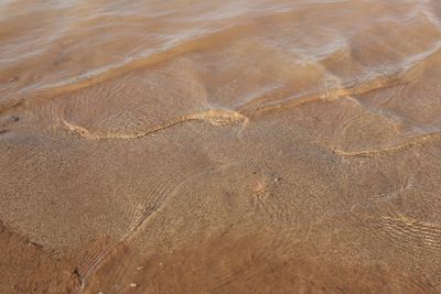 High angle view of sandy beach