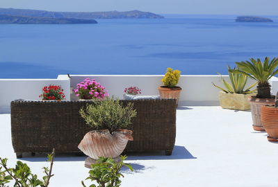 Stairs, flowers and sea at oia island by beautiful day, greece