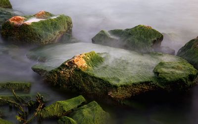 Scenic view of rocks in sea