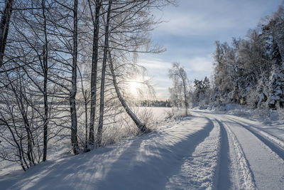 Bare trees on snow covered landscape