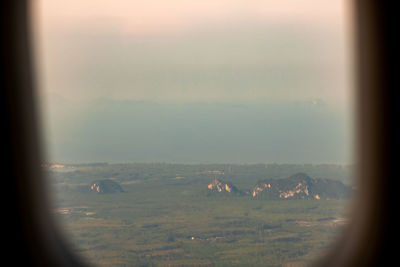View of birds on field seen through glass window