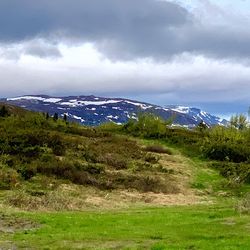 Scenic view of landscape against sky