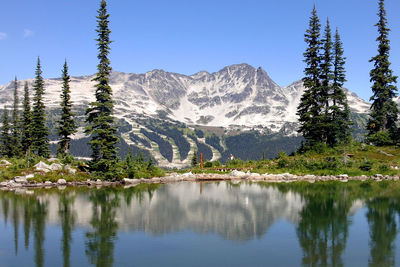 Scenic view of lake by trees against sky