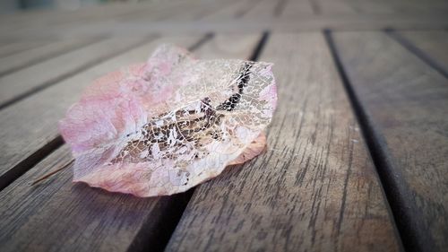 Close-up of pink umbrella on table