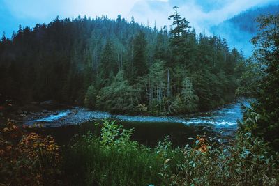 Scenic view of waterfall in forest against sky