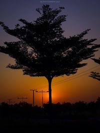 Silhouette tree against sky during sunset