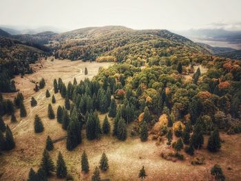 High angle view of trees on field against sky