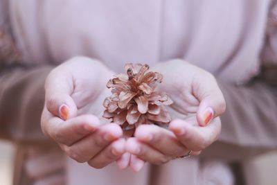 Close-up of woman holding pine cone