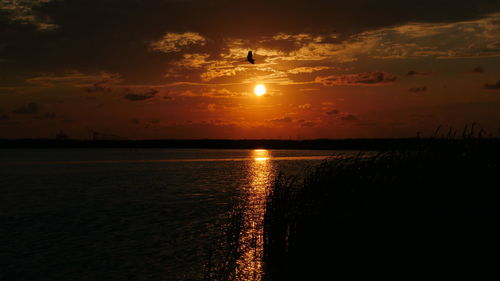 Scenic view of sunset over sea