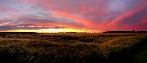 Scenic view of field against sky during sunset